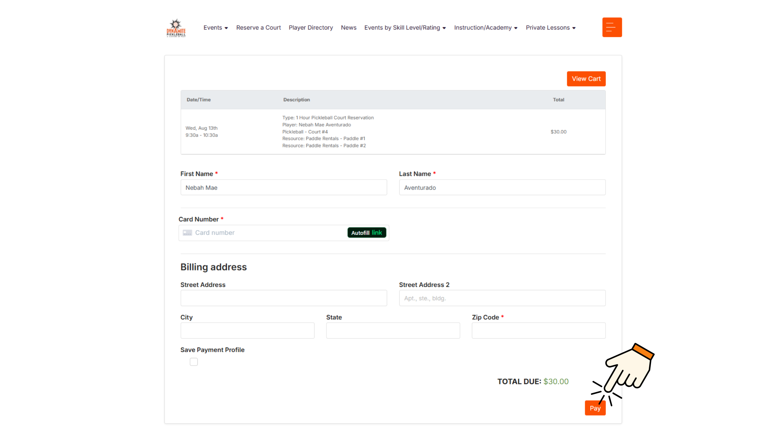 Enter payment details, then click Pay.